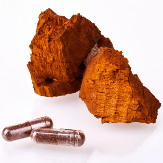 Chaga 60 Veggie Caps