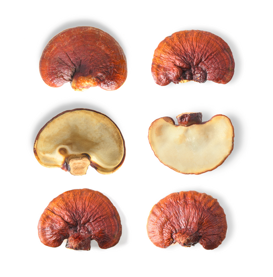 Reishi 60 Veggie Caps