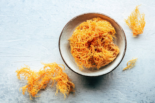 Sea Moss: The Ocean’s Source of Natural Minerals