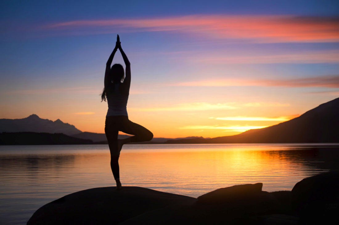 Surviving and Thriving: The Journey to Flourishing Wellness