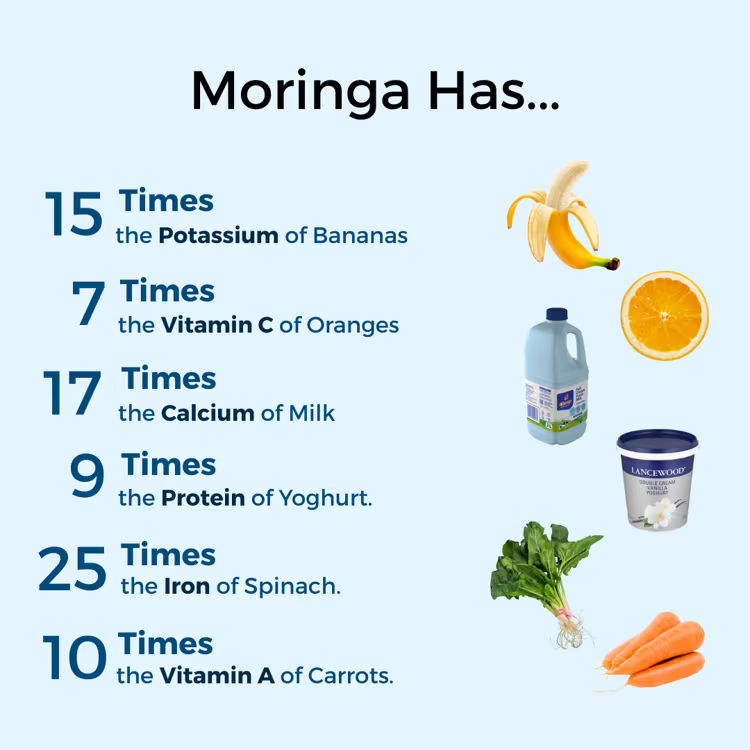 Nutritional comparison chart of Moringa with bananas, oranges, milk, yogurt, spinach, and carrots on a light blue background.