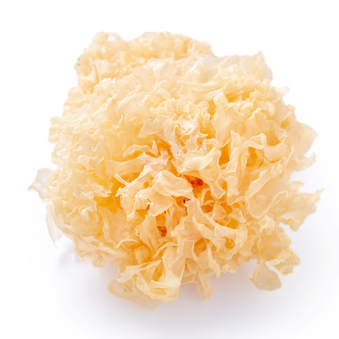 Tremella 60 Veggie Caps